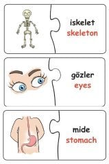 Eşleştir Vücudumuz