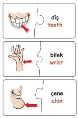 Eşleştir Vücudumuz